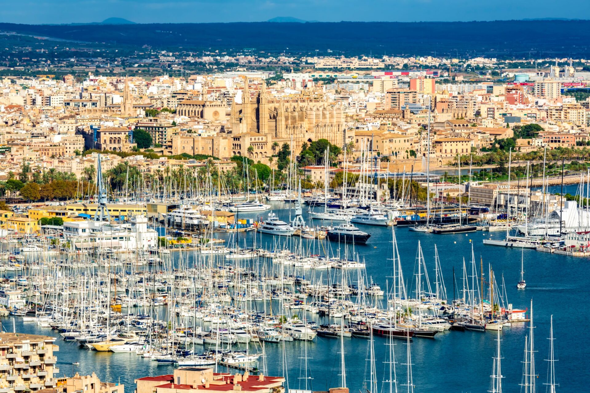 Palma harbor