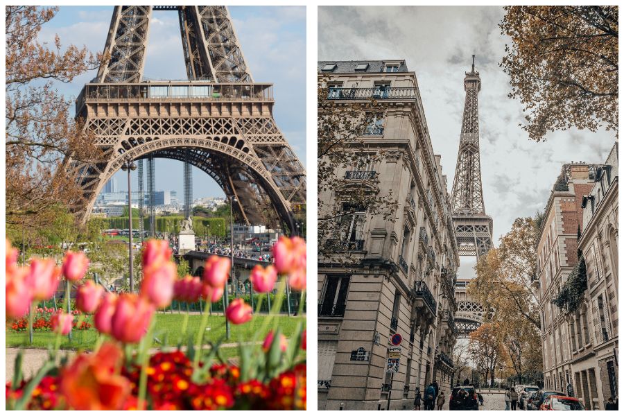 What's the Most Magical Season in Paris? My Argument for Spring Blossoms vs. Autumn Leaves vs. Festive Winter Lights