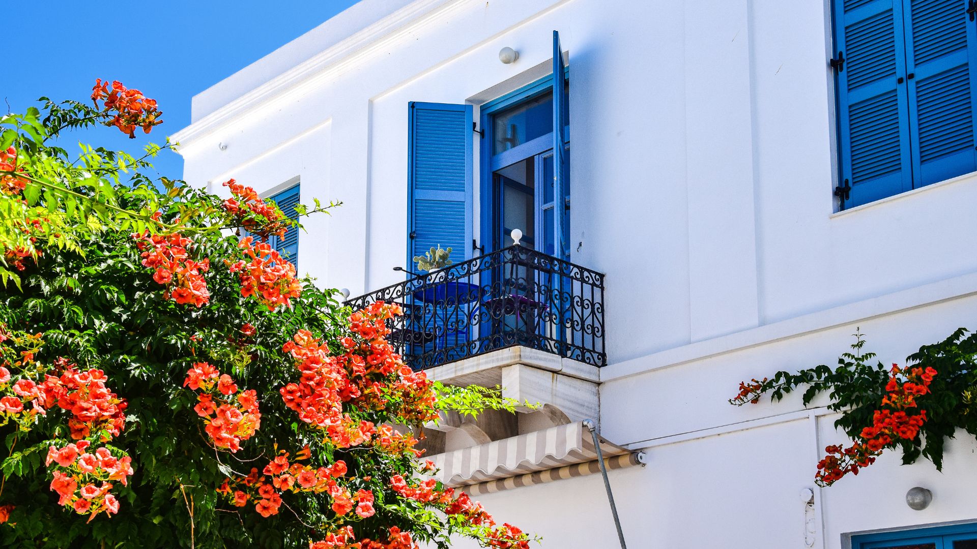 Blue colored window of a white building with some flowers.