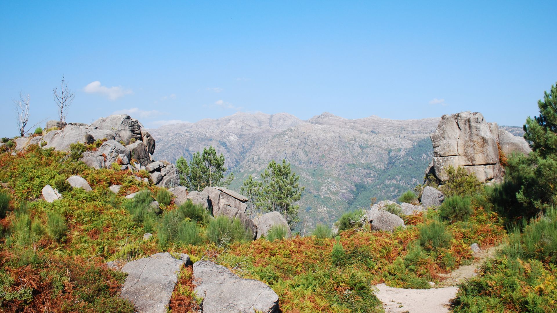 Panoramic view of the rugged landscape within Peneda-Gerês National Park, Portugal, featuring rocky outcrops, diverse low-lying vegetation in shades of green and red, and distant mountains under a clear blue sky.