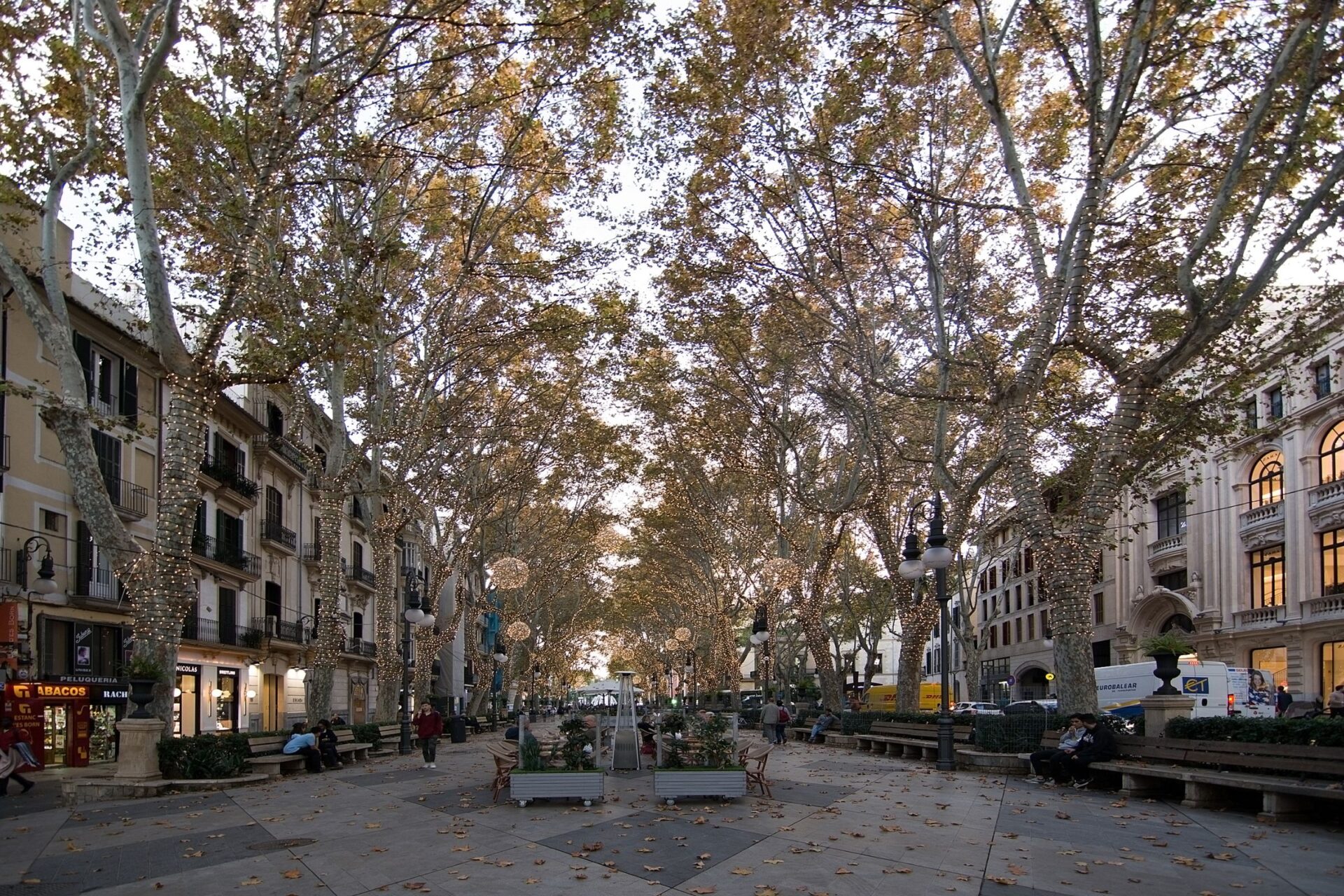 Paseo del Borne