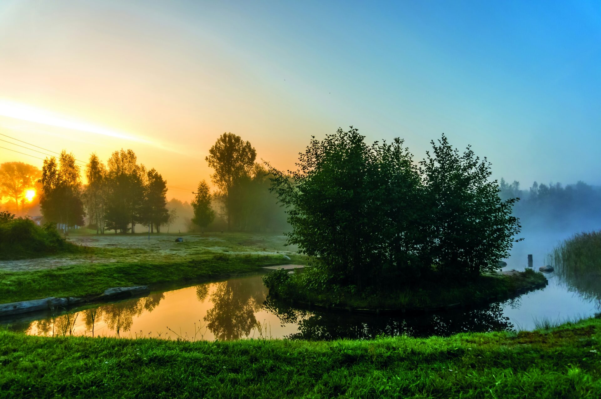 Peaceful pond surrounded by lush grass and tall trees in the Spreewald Forest