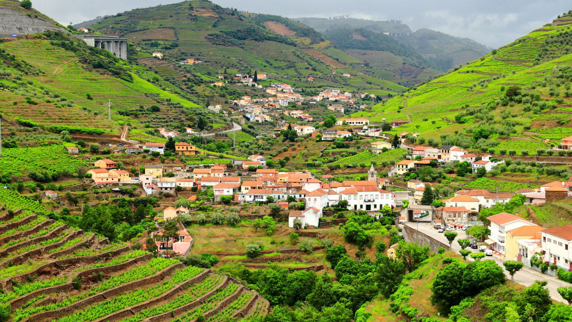 A panoramic view of Peso da Régua, Portugal, nestled in the terraced vineyards of the Douro Valley, with the Douro River visible in the distance.