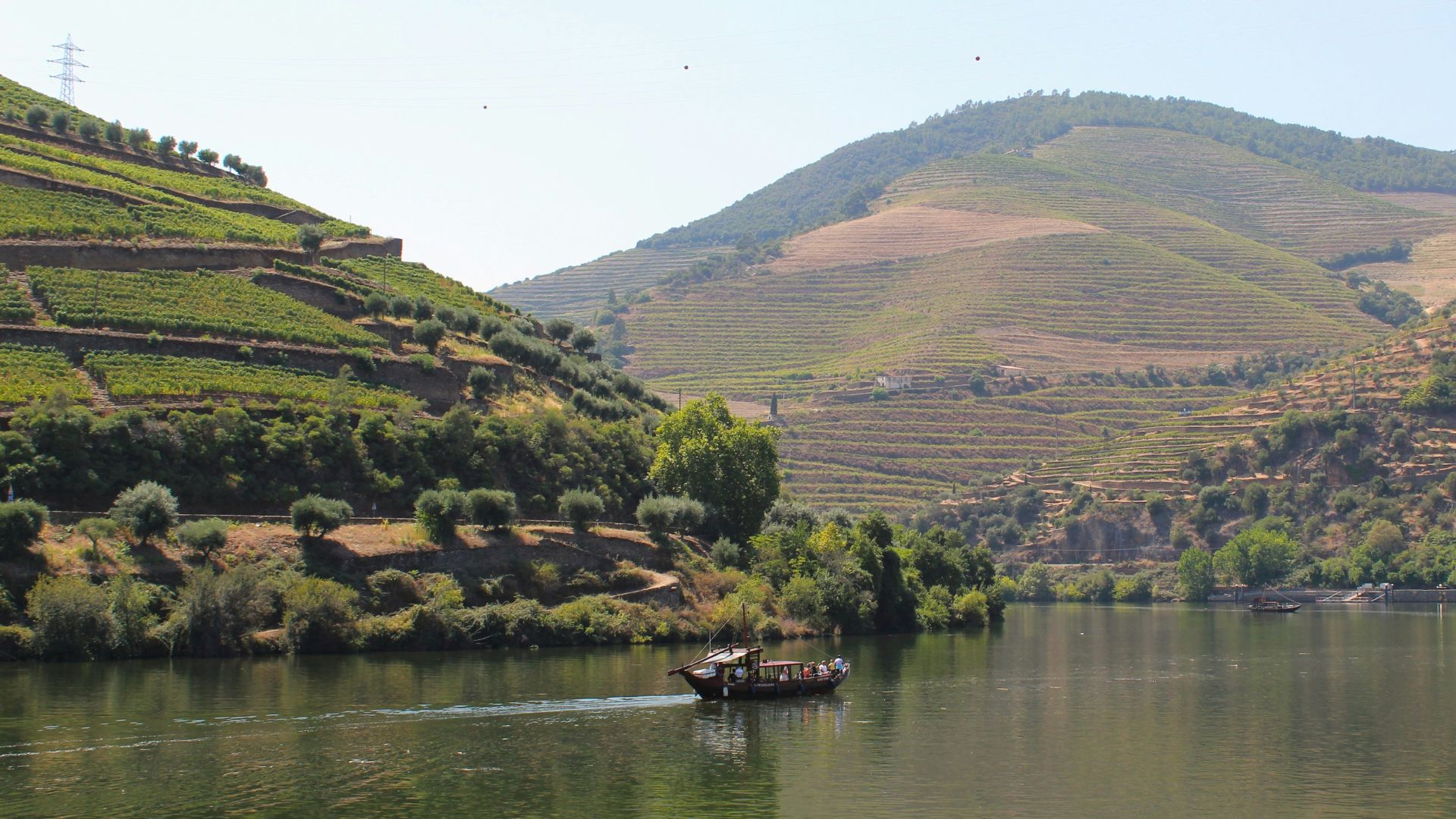 A traditional rabelo boat sails on the Douro River, flanked by terraced vineyards in Pinhão, Portugal.