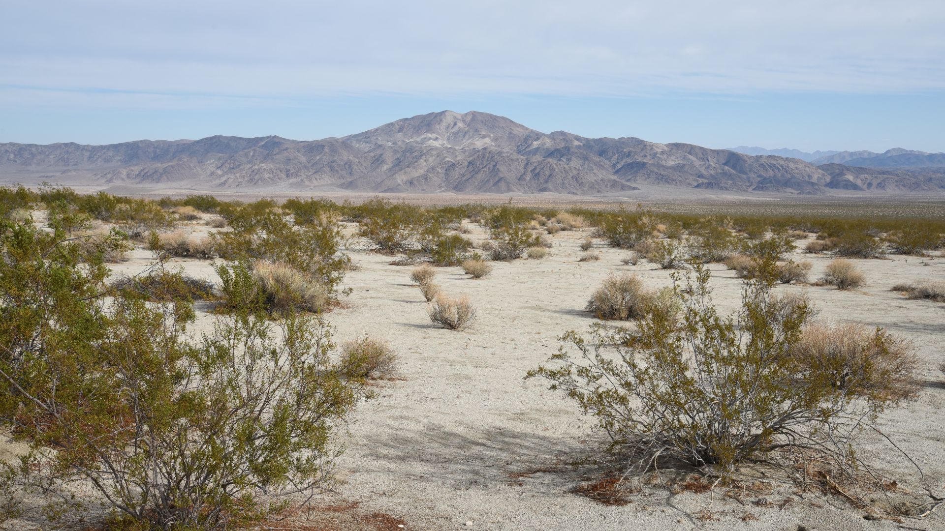 A wide, quiet desert landscape with sparse green and brown brush in the foreground, leading to a vast sandy or rocky plain. In the distance, a range of large, light-colored mountains rise under a clear, pale blue sky with a few wispy clouds. 