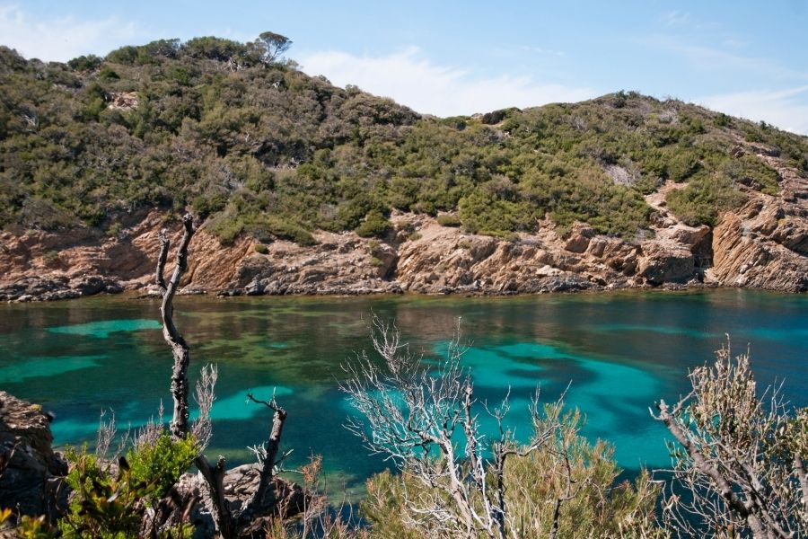 Port-Cros National Park: My Snorkeling Adventure in France's Oldest (and Most Protected) Marine Paradise