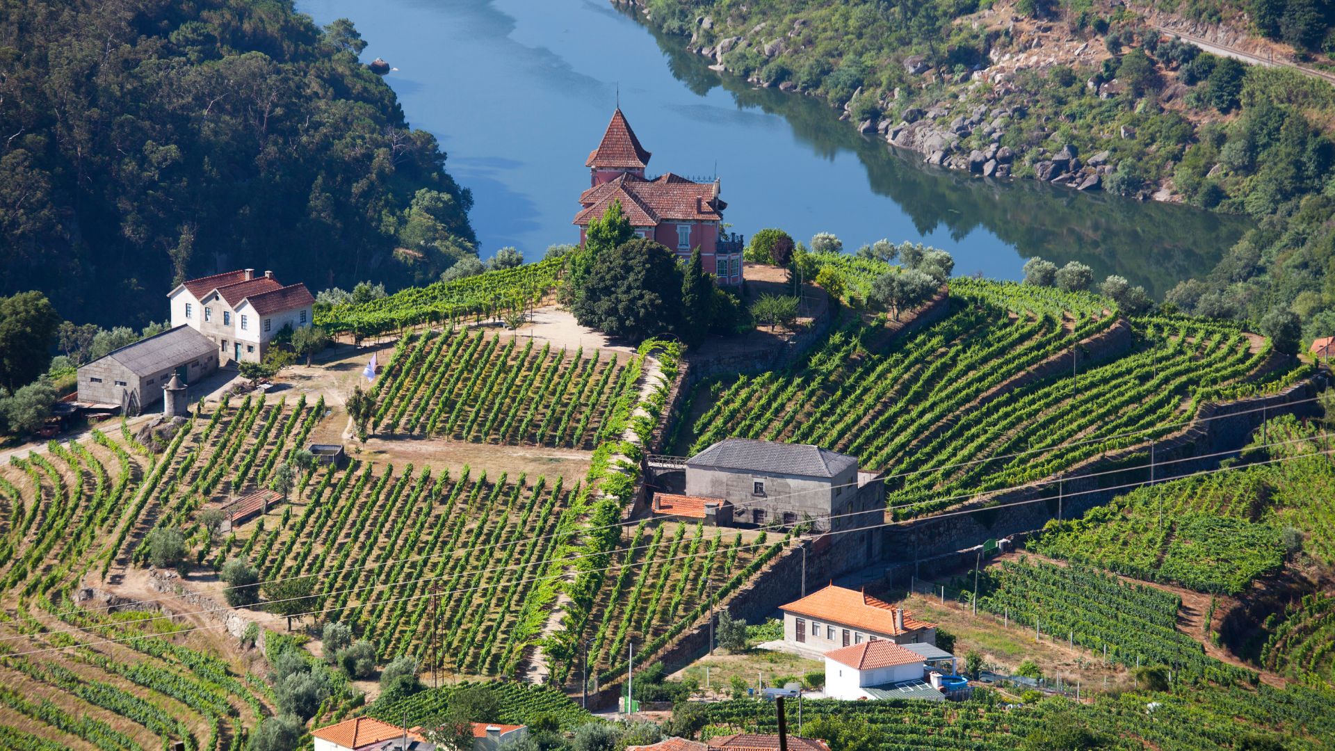 Aerial view of Quinta da Roêda winery and terraced vineyards overlooking the Douro River in the Douro Valley, Northern Portugal.