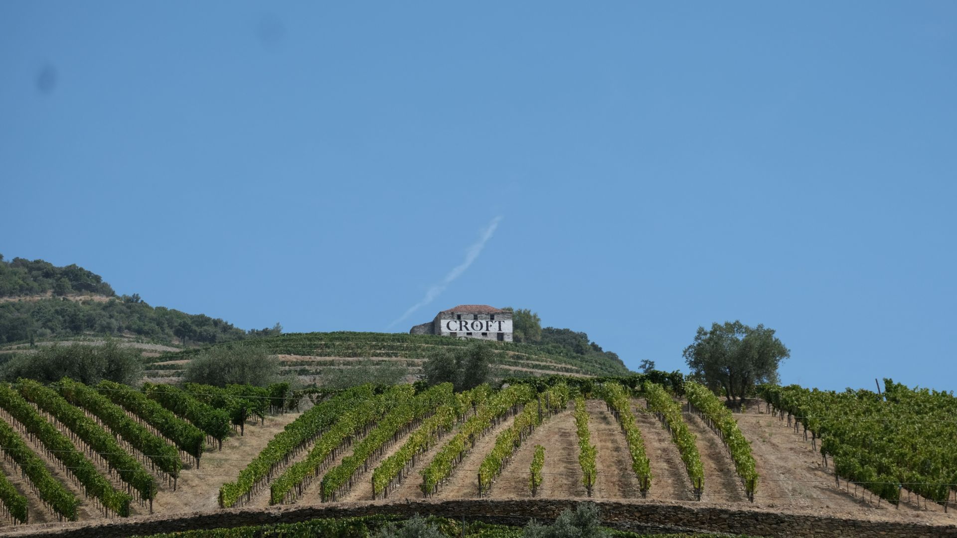 Terraced vineyards of Quinta da Roêda in Portugal's Douro Valley, with the Croft estate building visible on a distant hillside.
