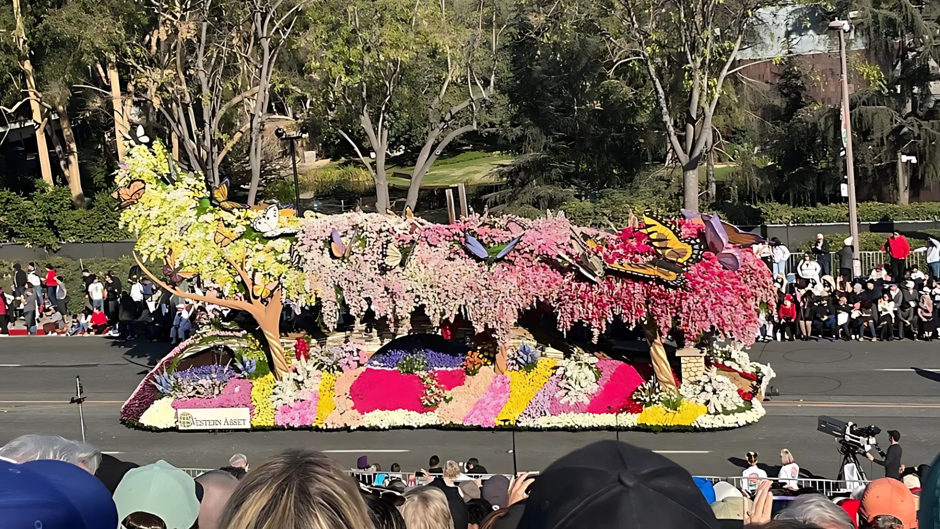  A colorful floral float, adorned with pink and yellow flowers resembling wisteria, with large butterfly decorations, moves along a street lined with spectators and trees under a clear sky.