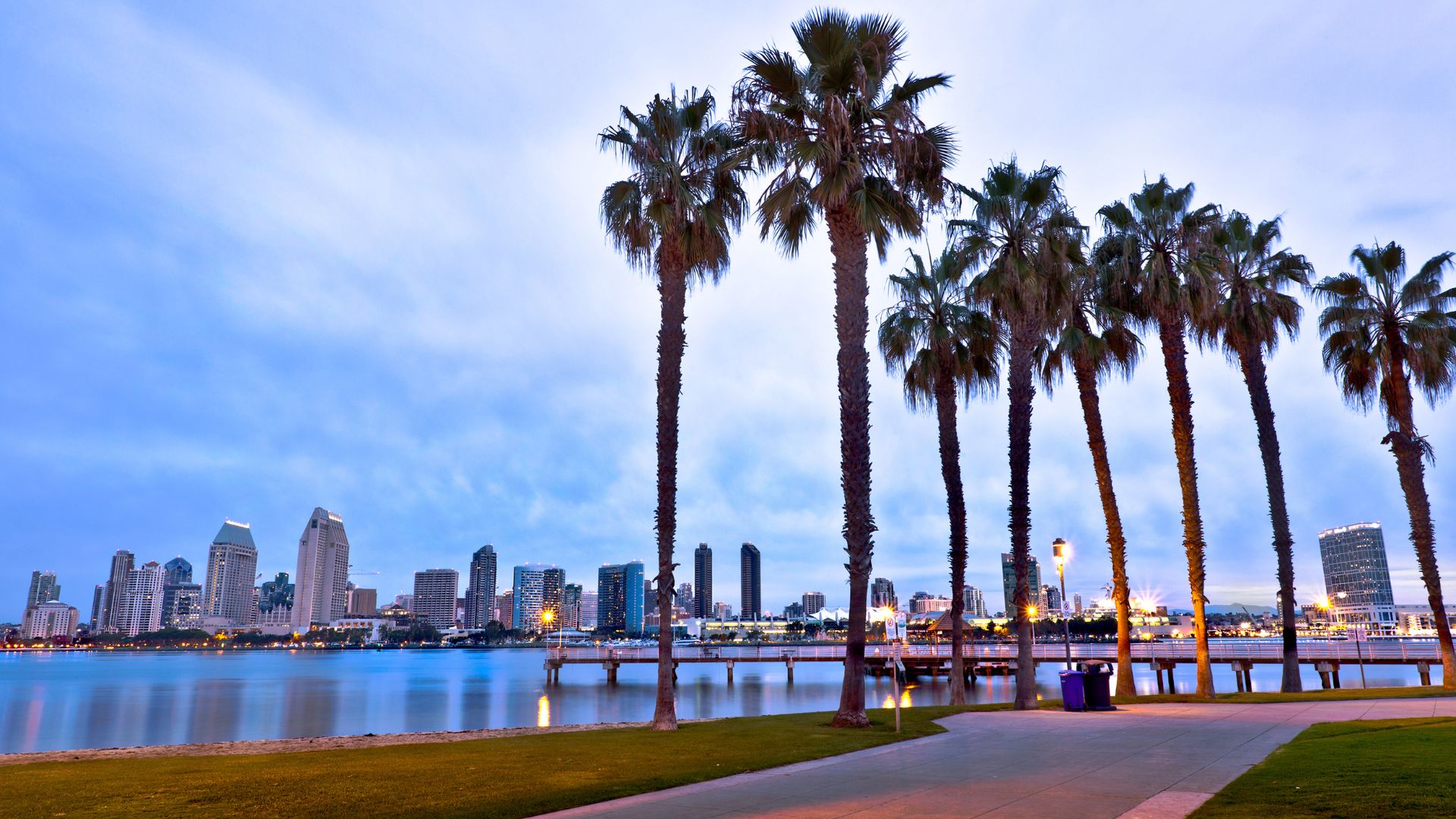 A wide-angle shot of the San Diego skyline at dusk, seen across a body of water with a line of tall palm trees in the foreground, and a paved path running along the grassy shore.