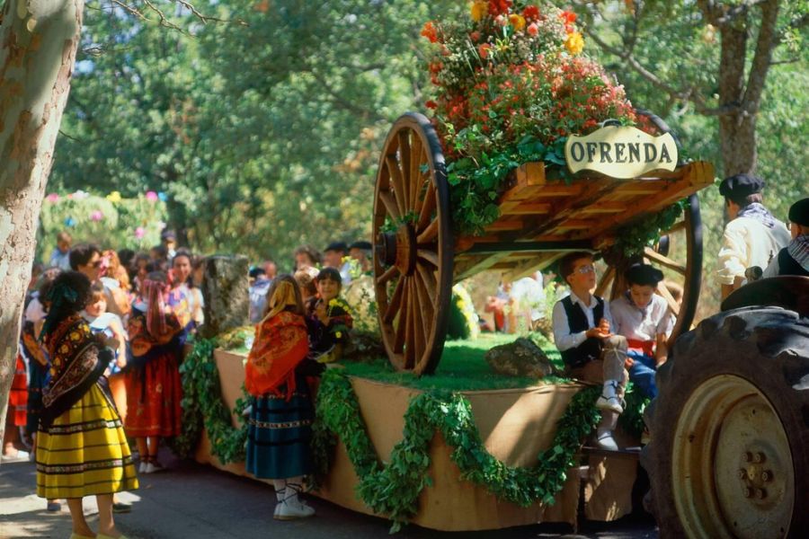 Feeling the Fiesta Spirit at San Lorenzo in Huesca: My Joyful Experience of Green & White Celebrations