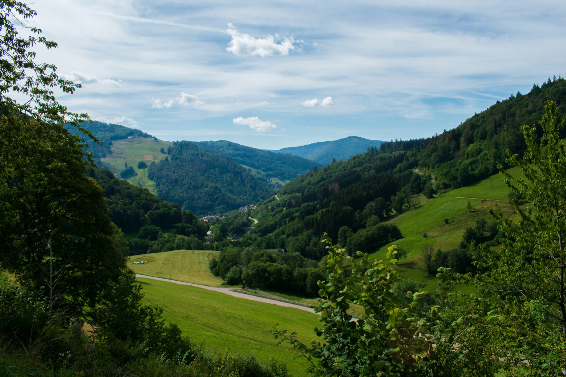 Scenic view of a winding trail through the lush Black Forest