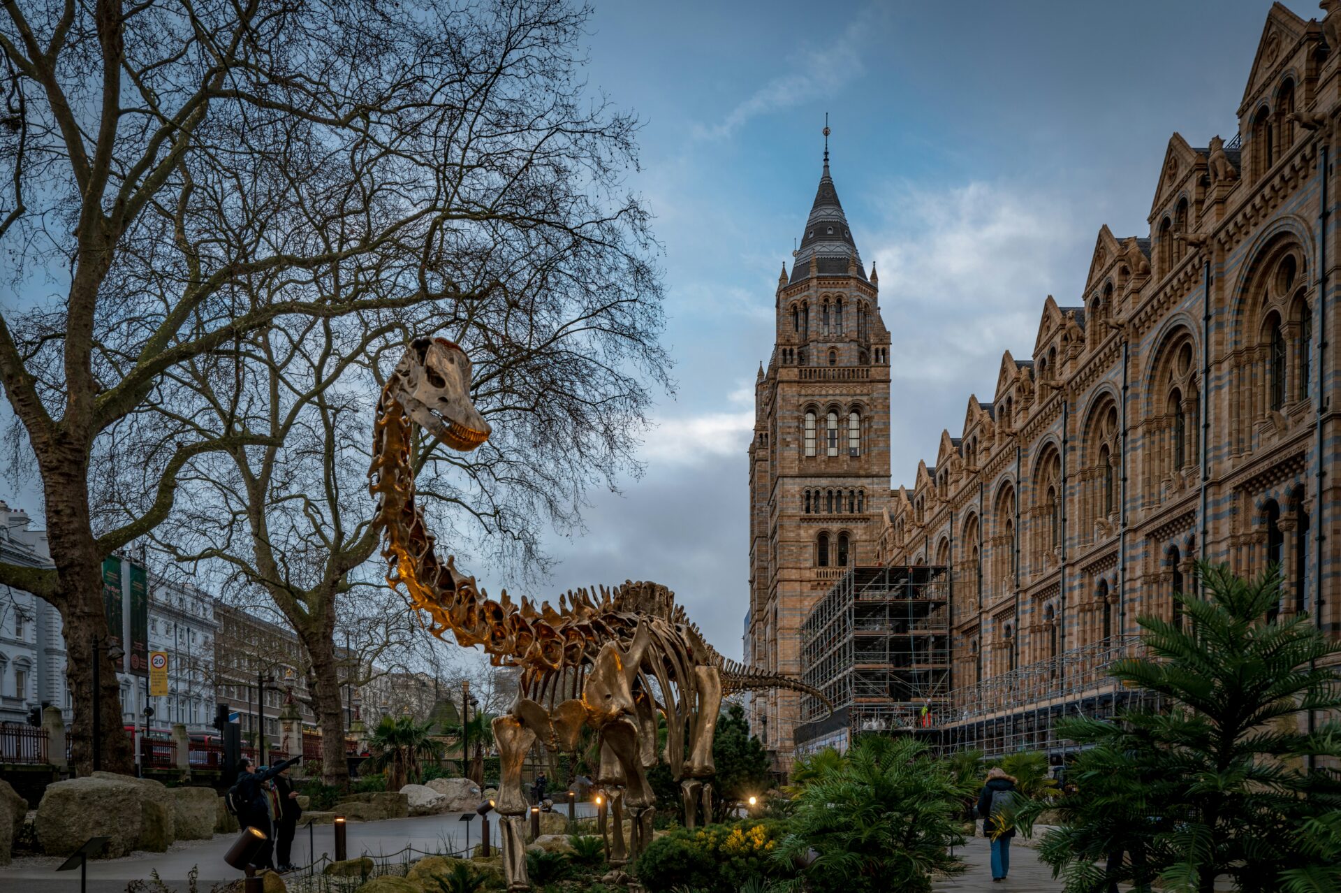 Side view of the Natural History Museum showcasing its intricate stone architecture