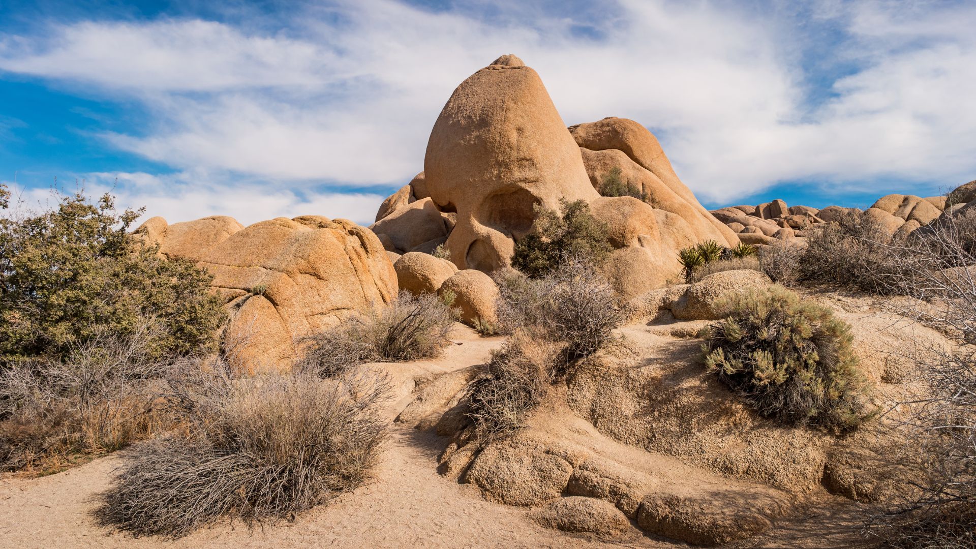 A wide-angle shot of Skull Rock in Joshua Tree National Park, California, under a bright blue sky with scattered clouds. The prominent rock formation, eroded to resemble a skull, is surrounded by smaller boulders and sparse, dry desert vegetation, including creosote bush and other low-lying shrubs. 