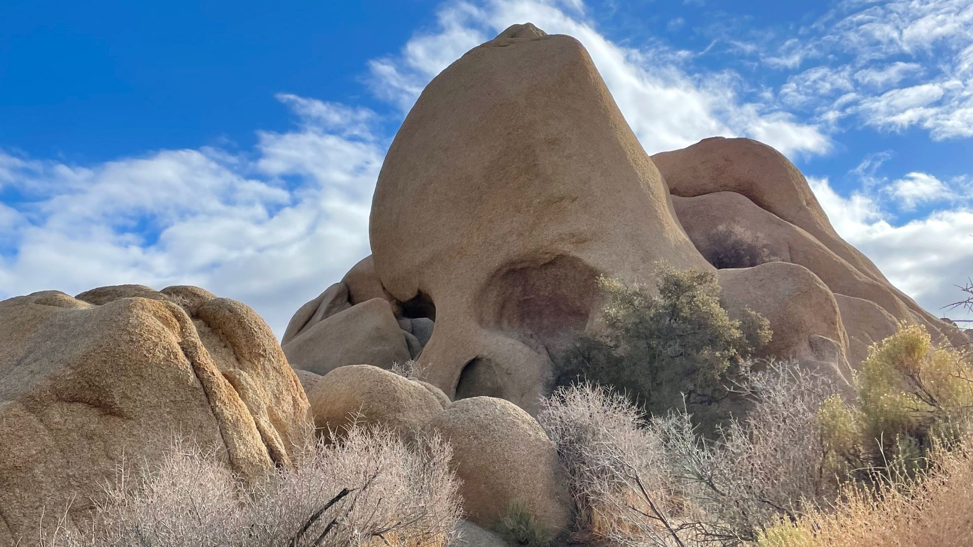 A wide-angle shot of Skull Rock in Joshua Tree National Park, California, under a bright blue sky with scattered clouds. The prominent rock formation, eroded to resemble a skull, is surrounded by smaller boulders and sparse, dry desert vegetation, including creosote bush and other low-lying shrubs. 