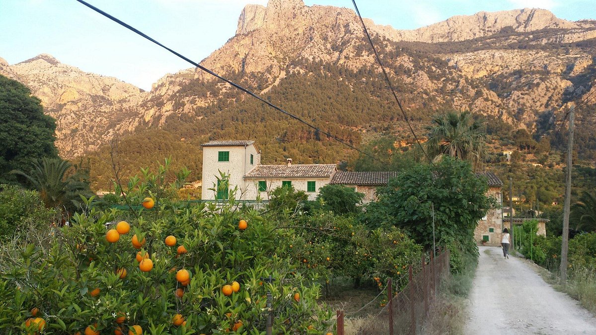 Sóller 