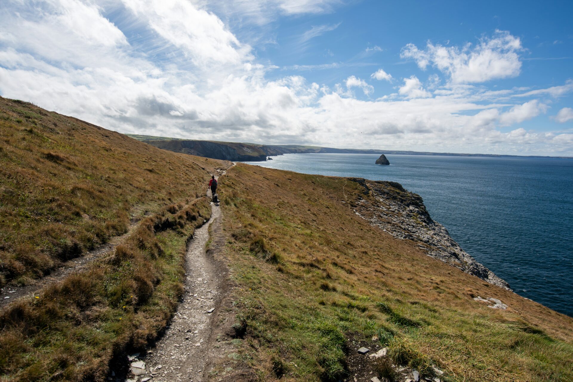 Scenic cliffside trail along the South West Coast Path near Tintagel