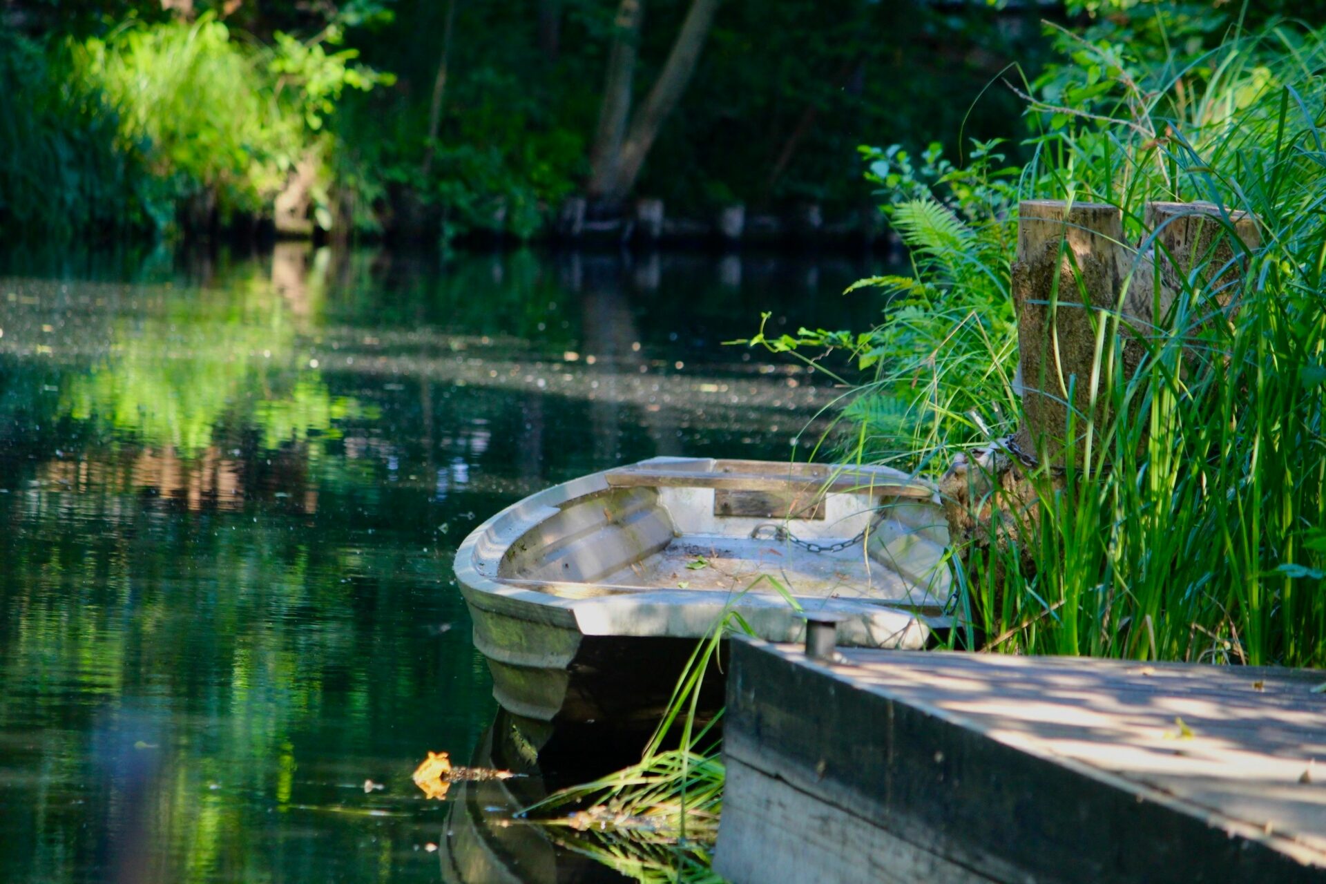 Narrow, winding waterways flowing through the dense greenery of Spreewald