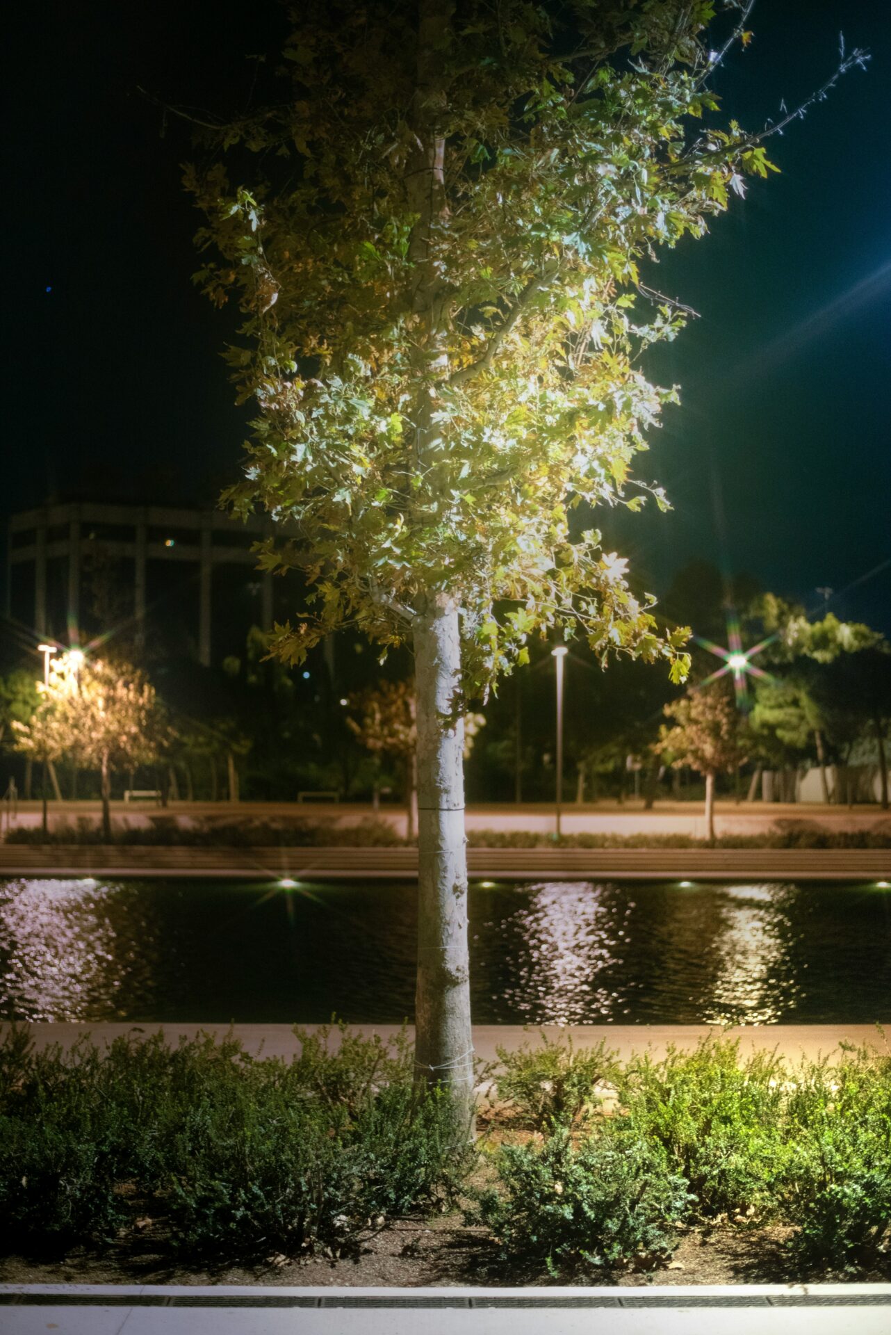 Stavros Niarchos Park - garden, trees, lake