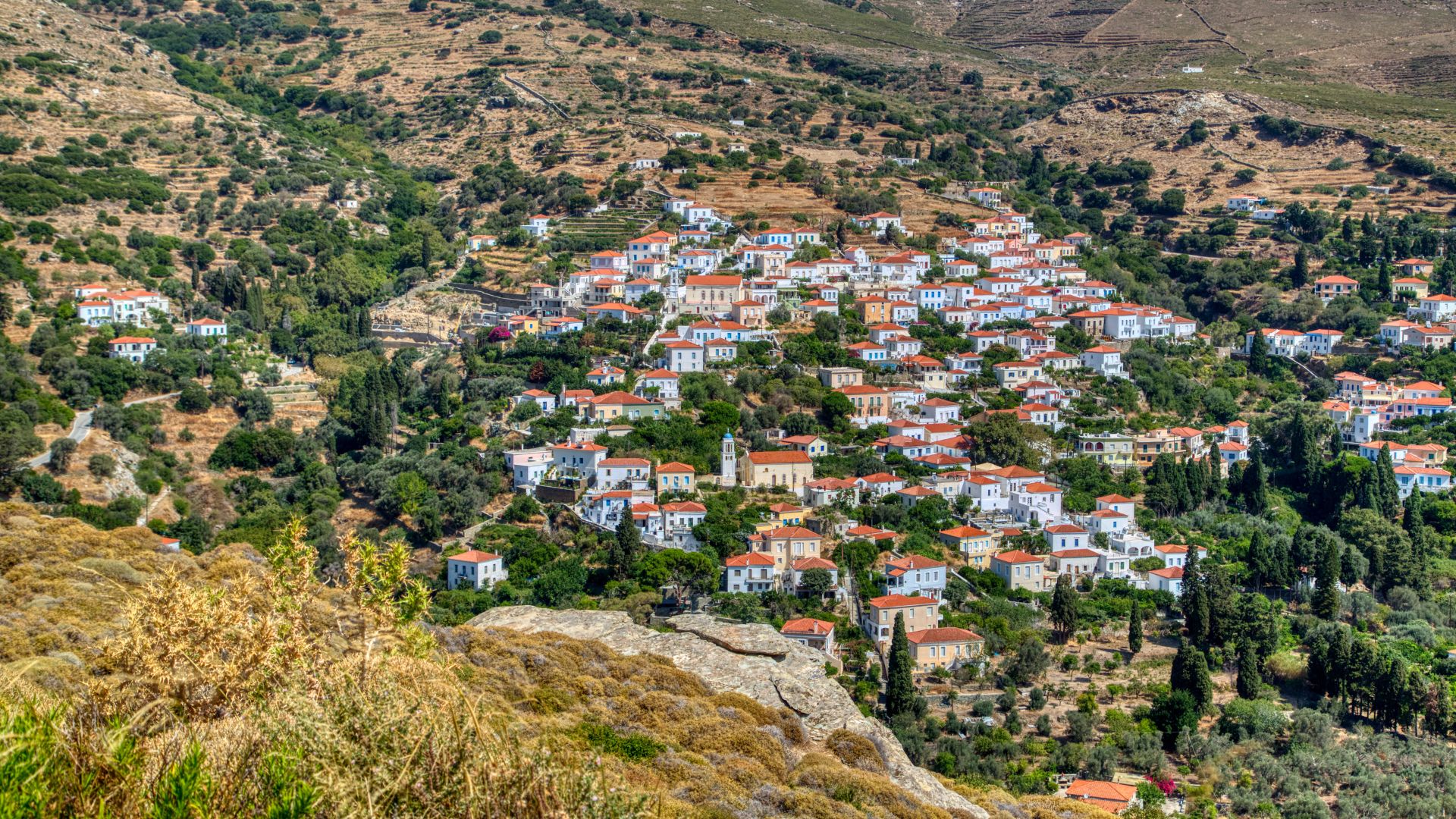 A hillside village in Andros, Greece with white buildings and red roofs nestled among trees.