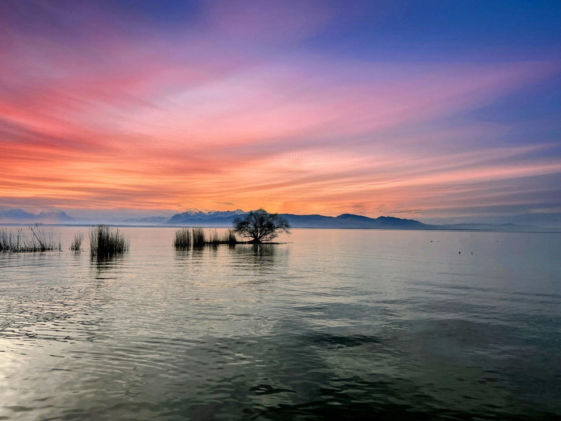 Stunning Sunset over Lake Constance 