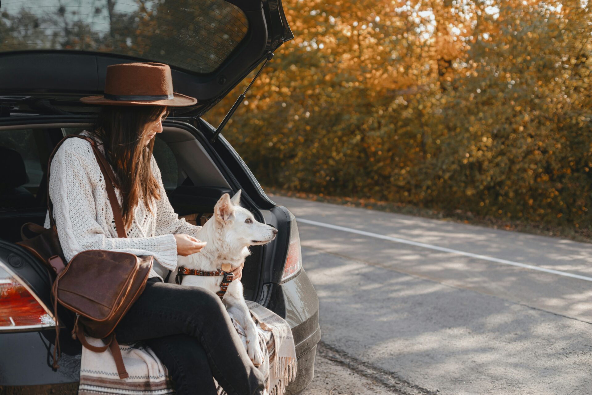 Sunny Autumn Romantic Road Trip