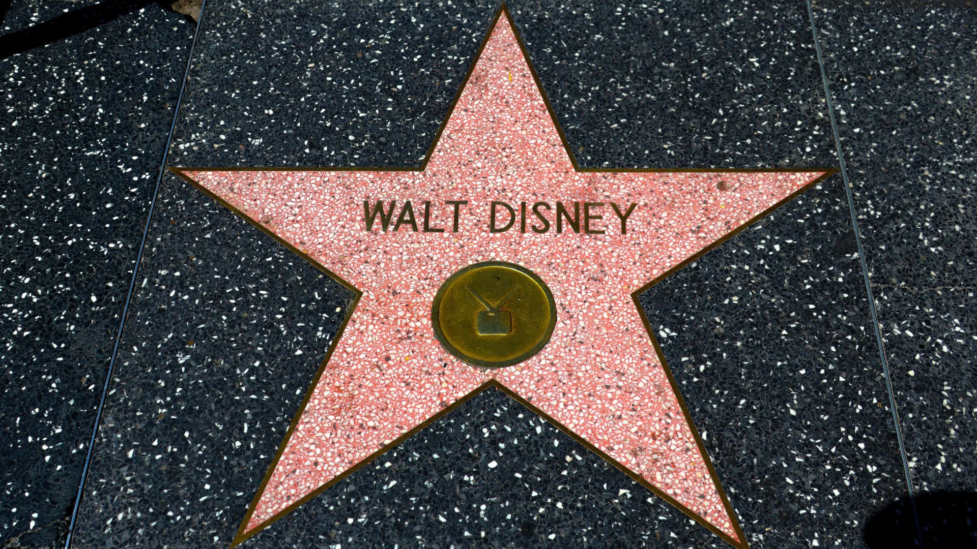 Walt Disney's star on The Hollywood Walk of Fame in Los Angeles, Southern California.