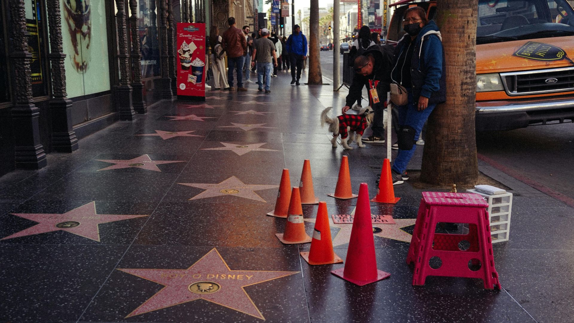 The Hollywood Walk of Fame in Los Angeles, Southern California