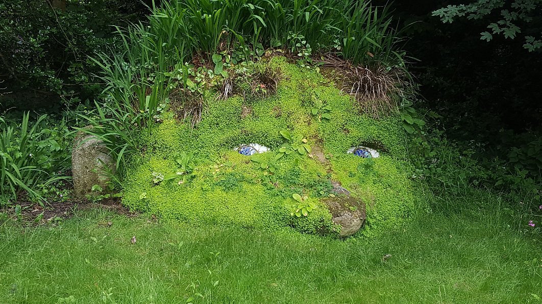 Moss-covered Giant’s Head nestled in the woodland at the Lost Gardens of Heligan