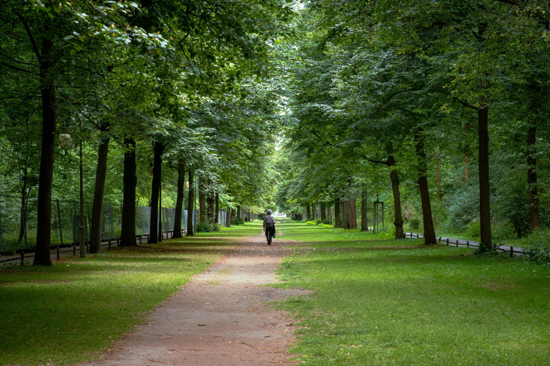 Peaceful pathway winding through lush green trees in Berlin’s Tiergarten park
