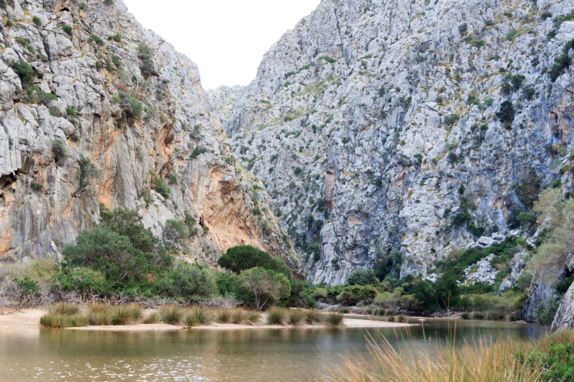 Torrent de Pareis canyon