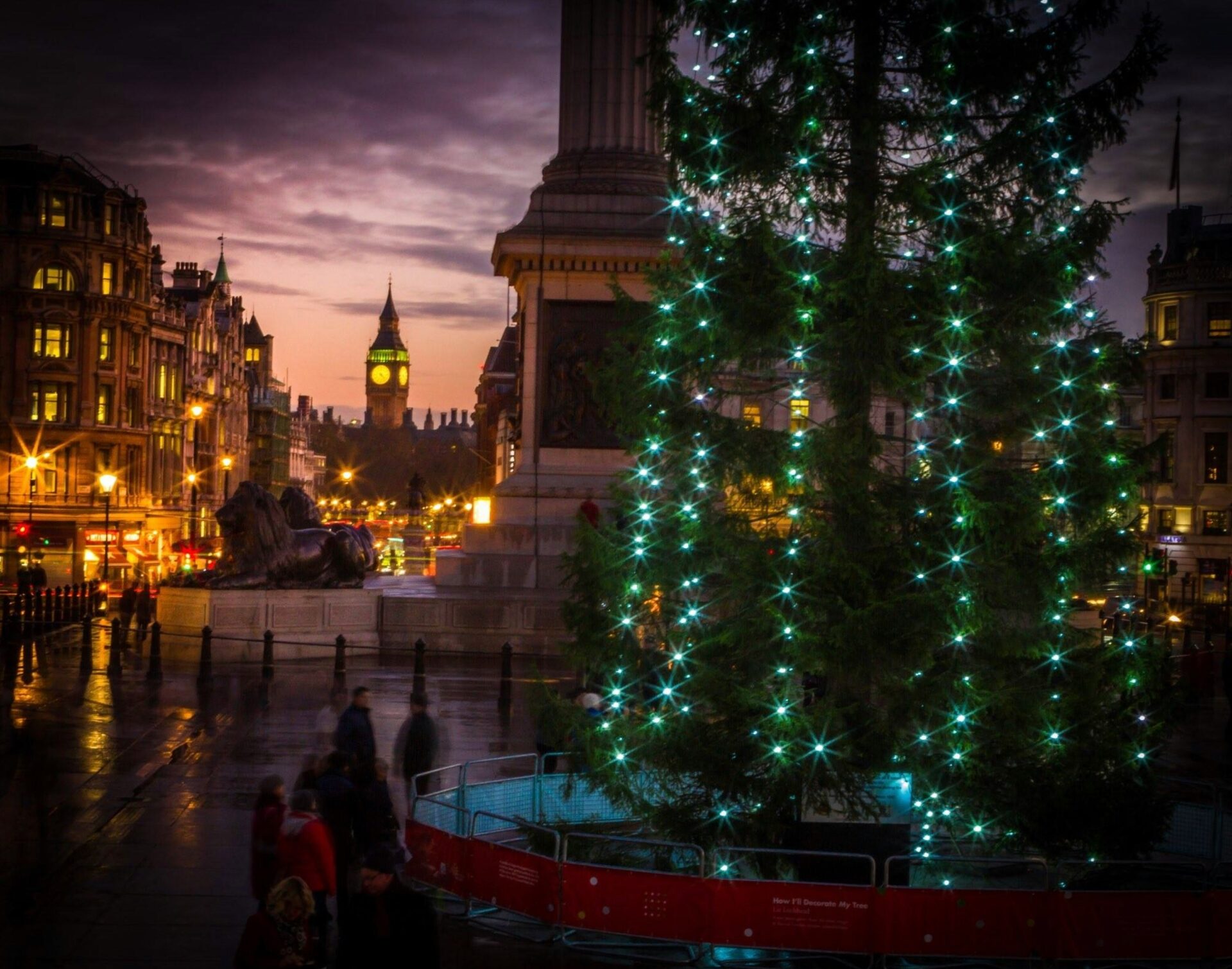 Trafalgar Square Christmas tree lit up at night with festive lights