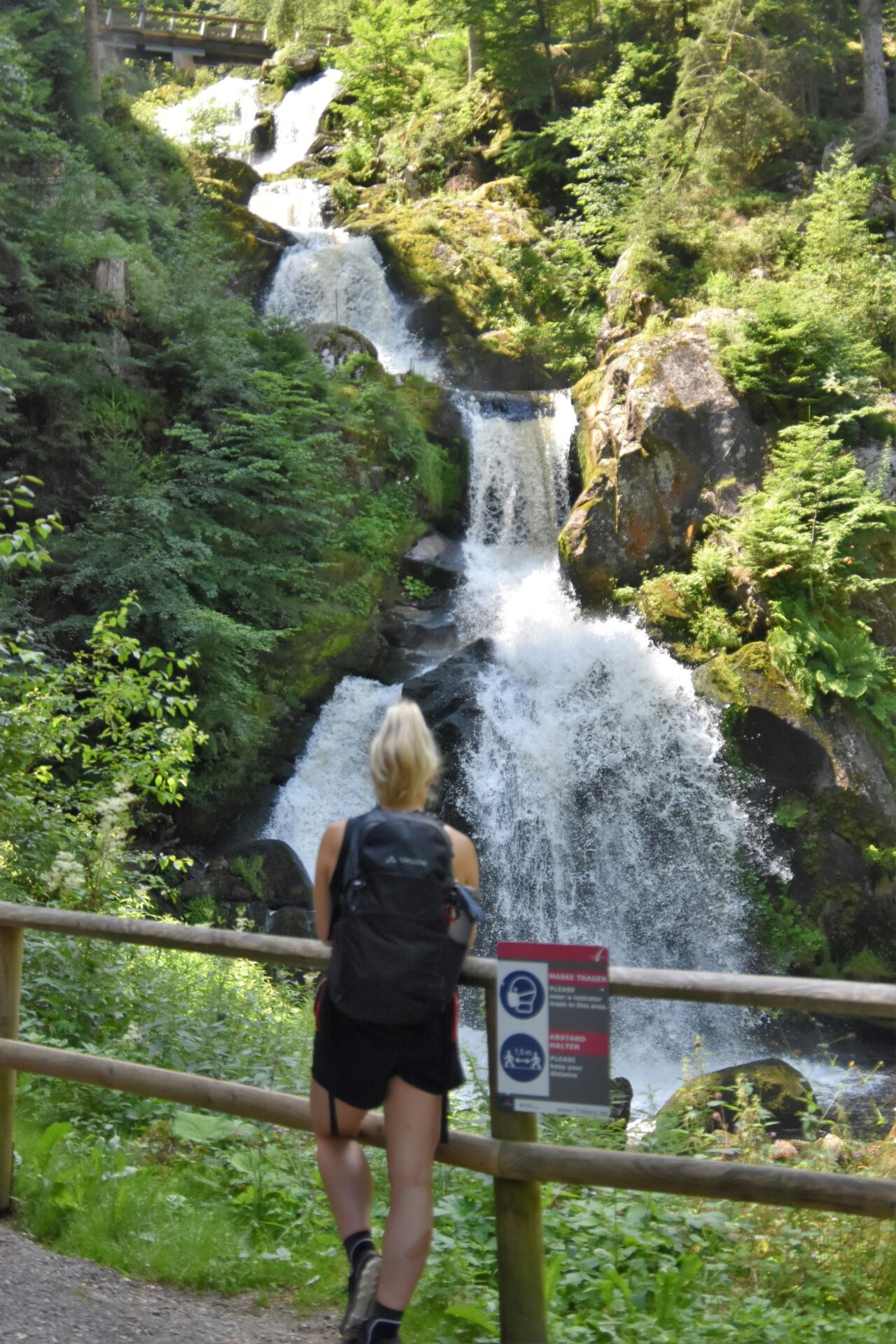 The stunning Triberg Waterfalls, cascading down rocky cliffs surrounded by lush greenery in the Black Forest, creating a breathtaking natural spectacle