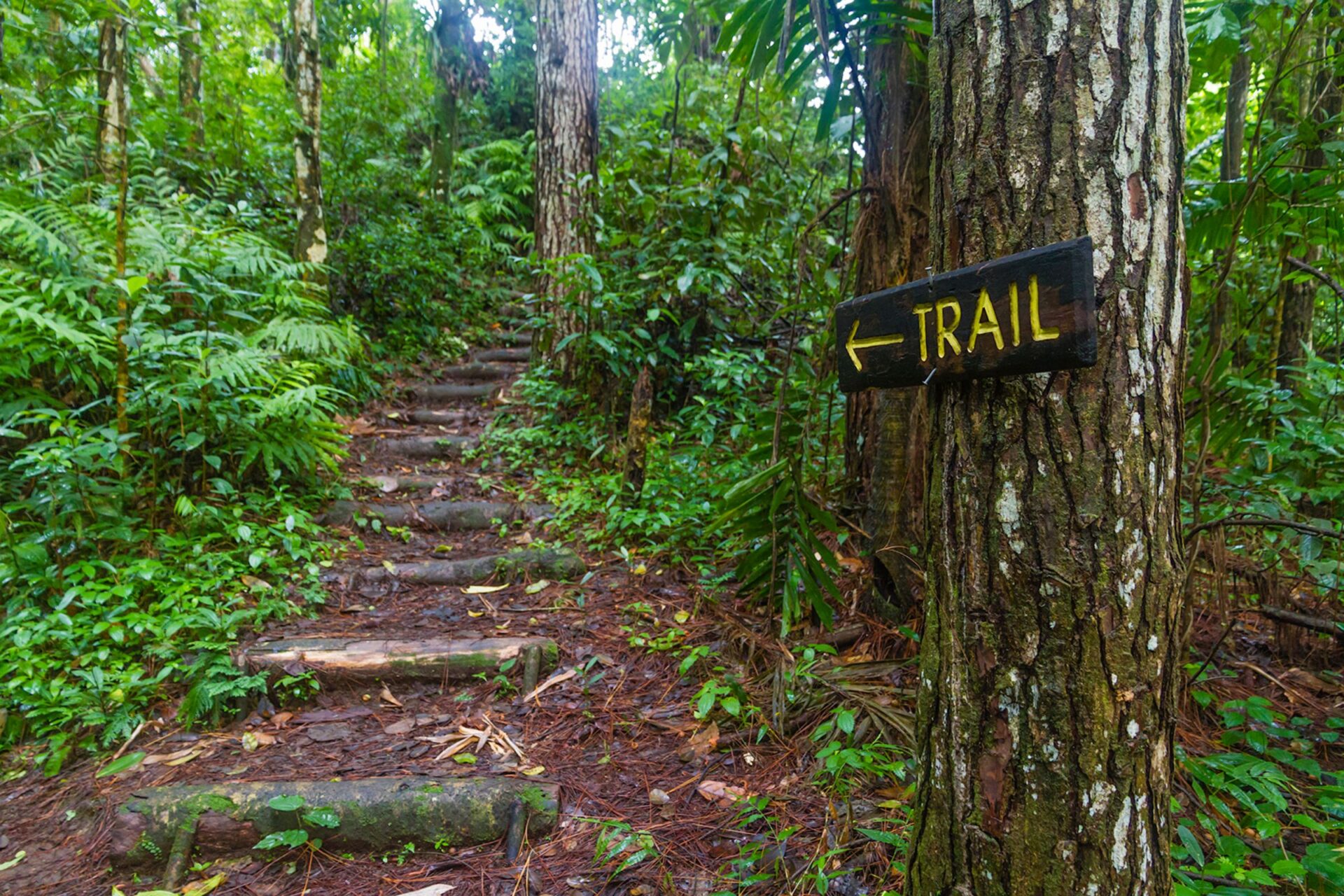 Vermont trail
