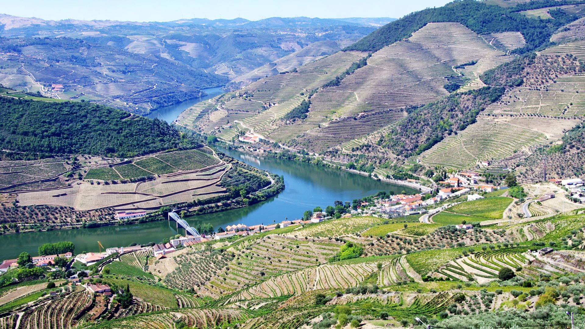 Panoramic view of the Douro River winding through terraced vineyards and the town of Pinhão in Portugal, as seen from Casal de Loivos.