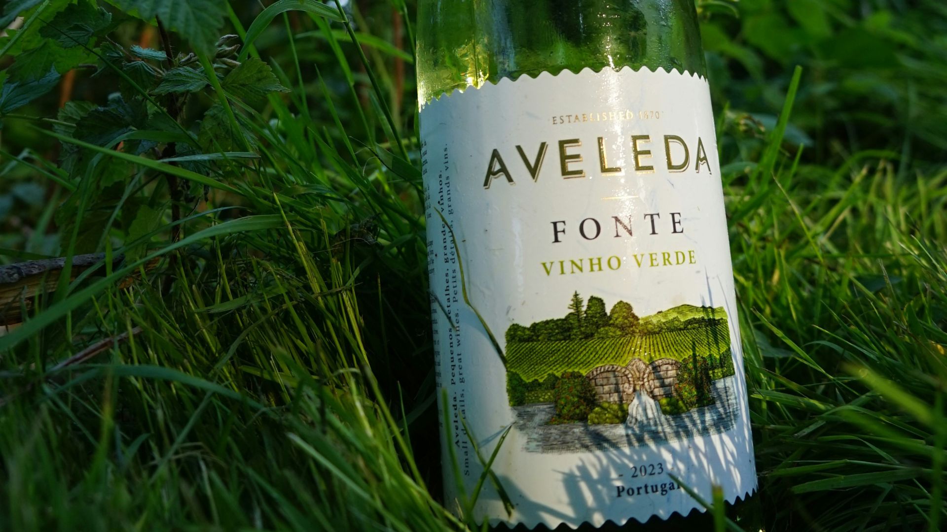 A bottle of Aveleda Fonte Vinho Verde white wine standing upright in green grass with foliage in the background under natural light.