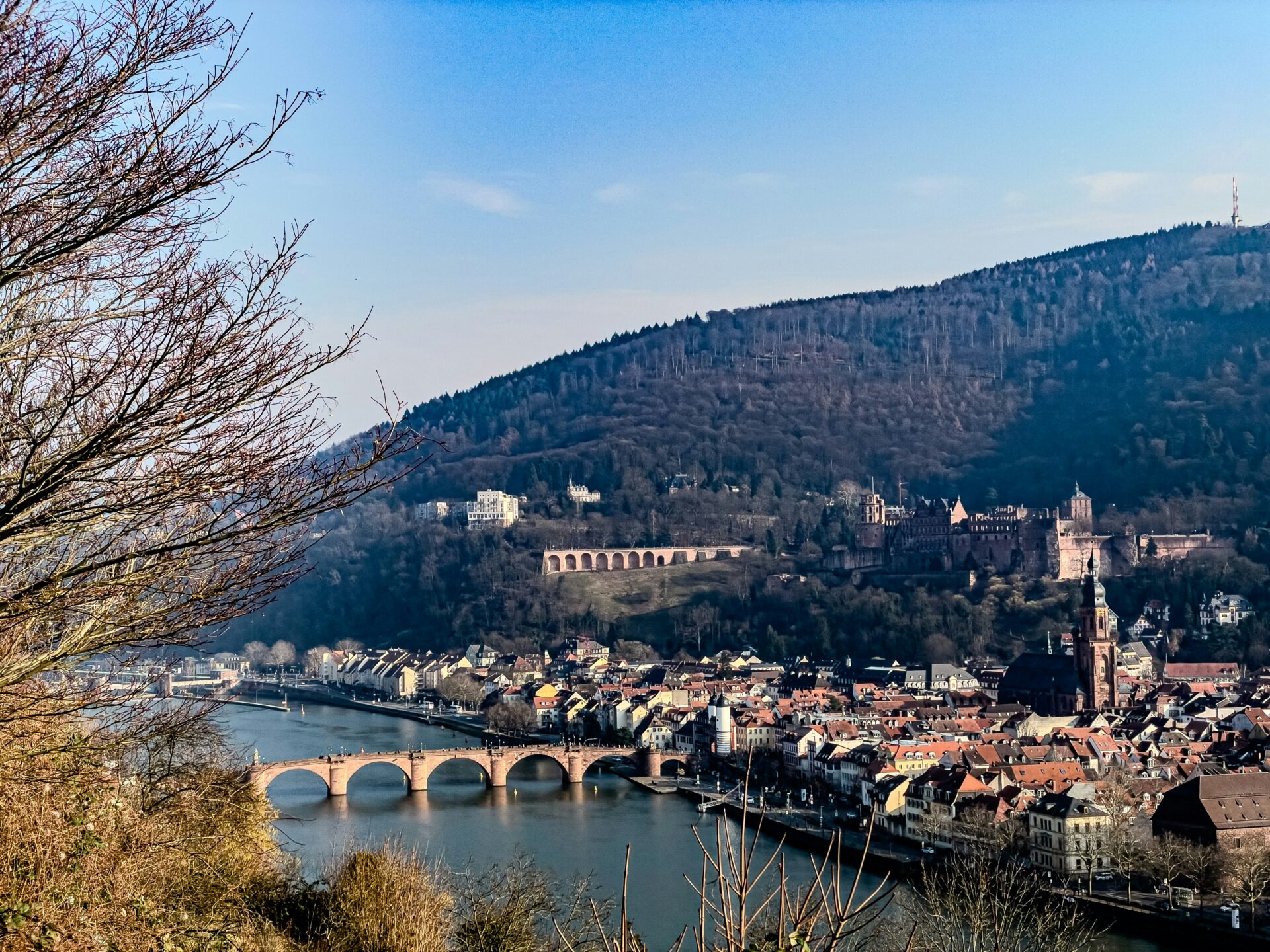 Heidelberg’s old town landscape