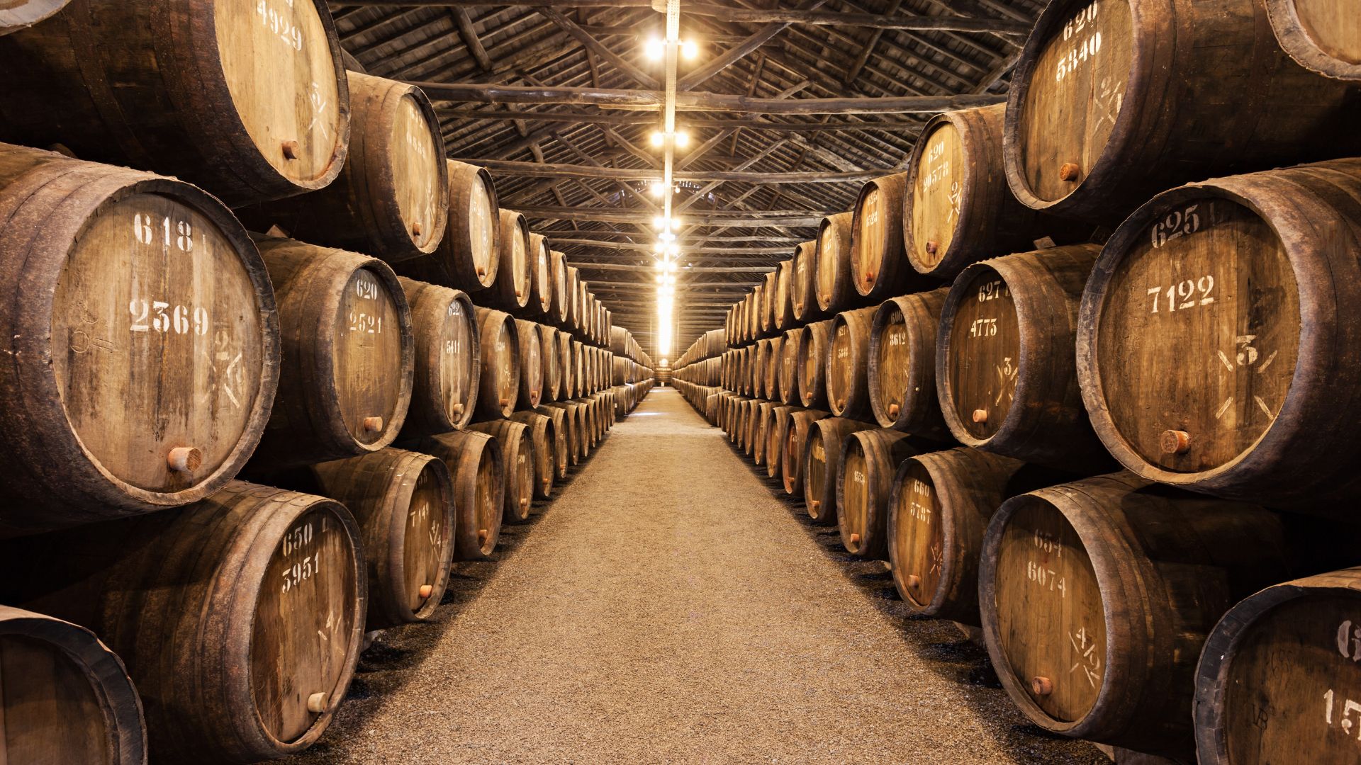 Wine cellar in Portugal