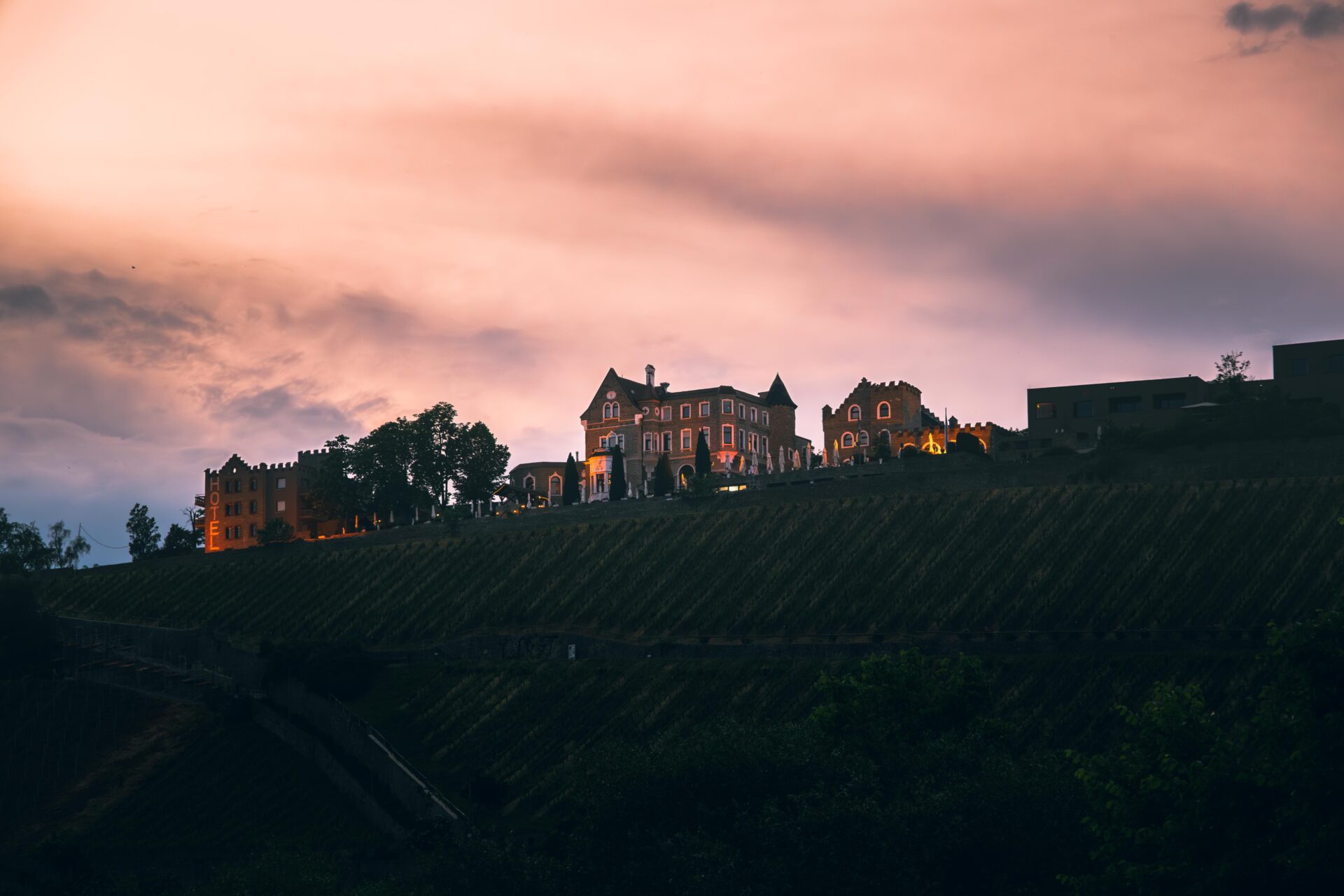 Scenic View of Würzburg Vineyards