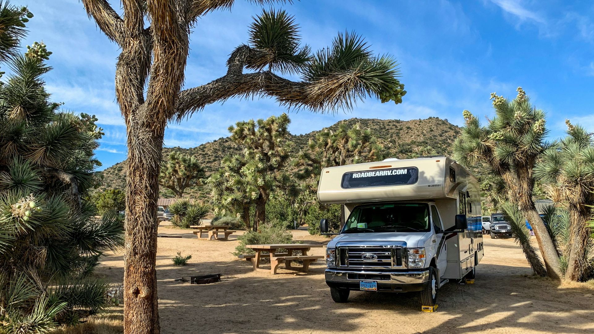 A Class C RV is parked in a sandy, open campsite surrounded by numerous Joshua Trees under a clear blue sky with scattered clouds. In the background, desert hills are visible, and other campsites with picnic tables can be seen. The RV has "ROADBEARRV.COM" written on its side.