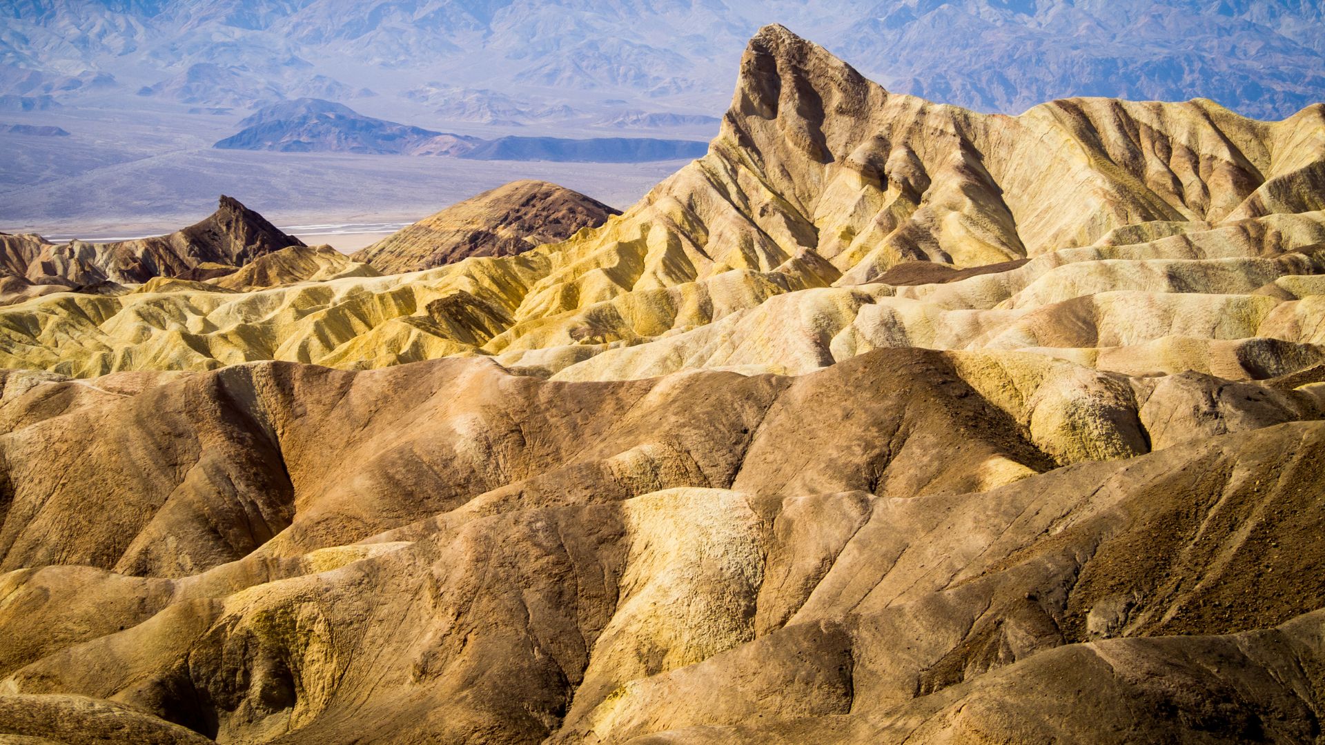 A panoramic view of Zabriskie Point in Death Valley National Park, featuring erosional badlands with distinct yellow and brown striations, under a clear sky, with distant mountains in the background.