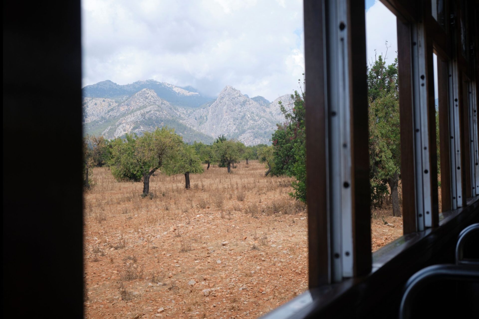 train through orange groves