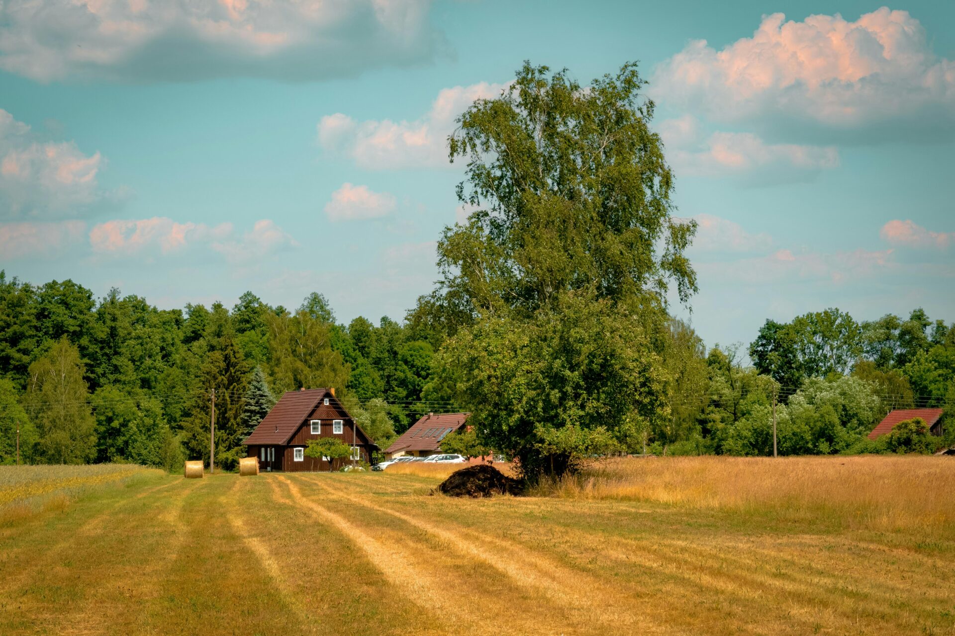 A House in the Lübbenau Countryside