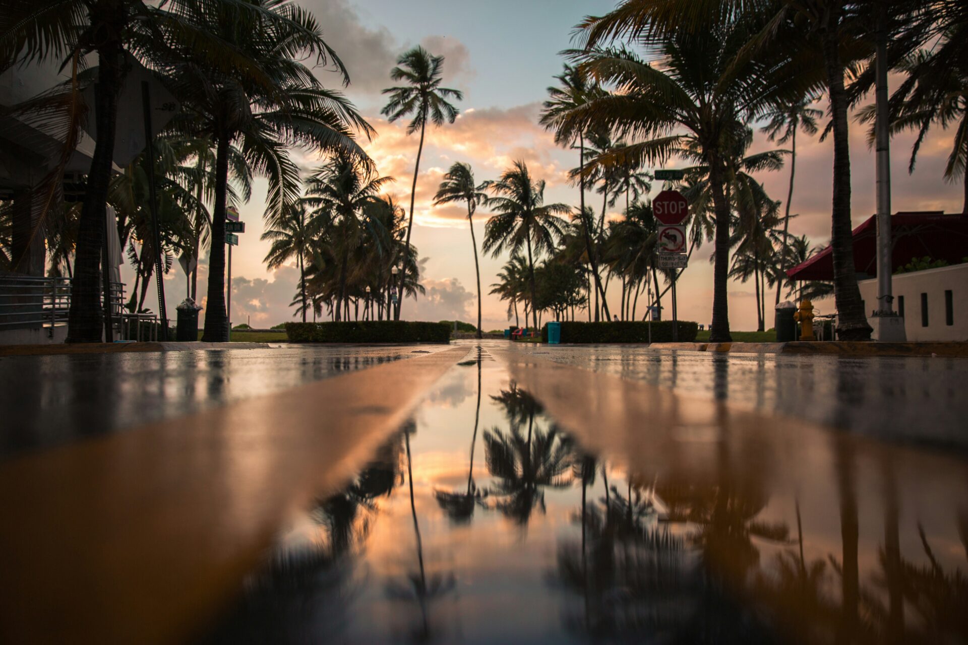 After a rainstorm in Miami, the streets glisten with water
