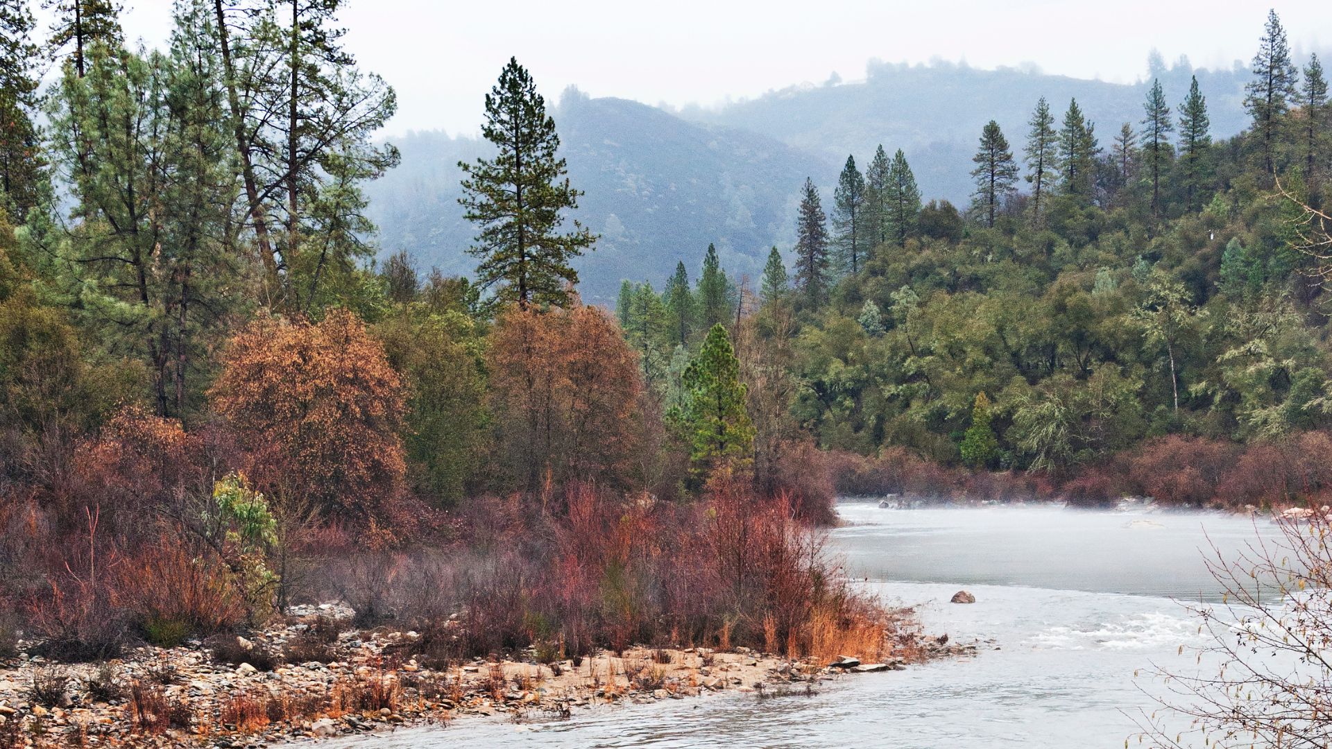 A misty river scene with a light layer of fog over the water, surrounded by dense evergreen and deciduous trees with reddish-brown foliage on the riverbanks, and hazy hills in the background under a cloudy sky.