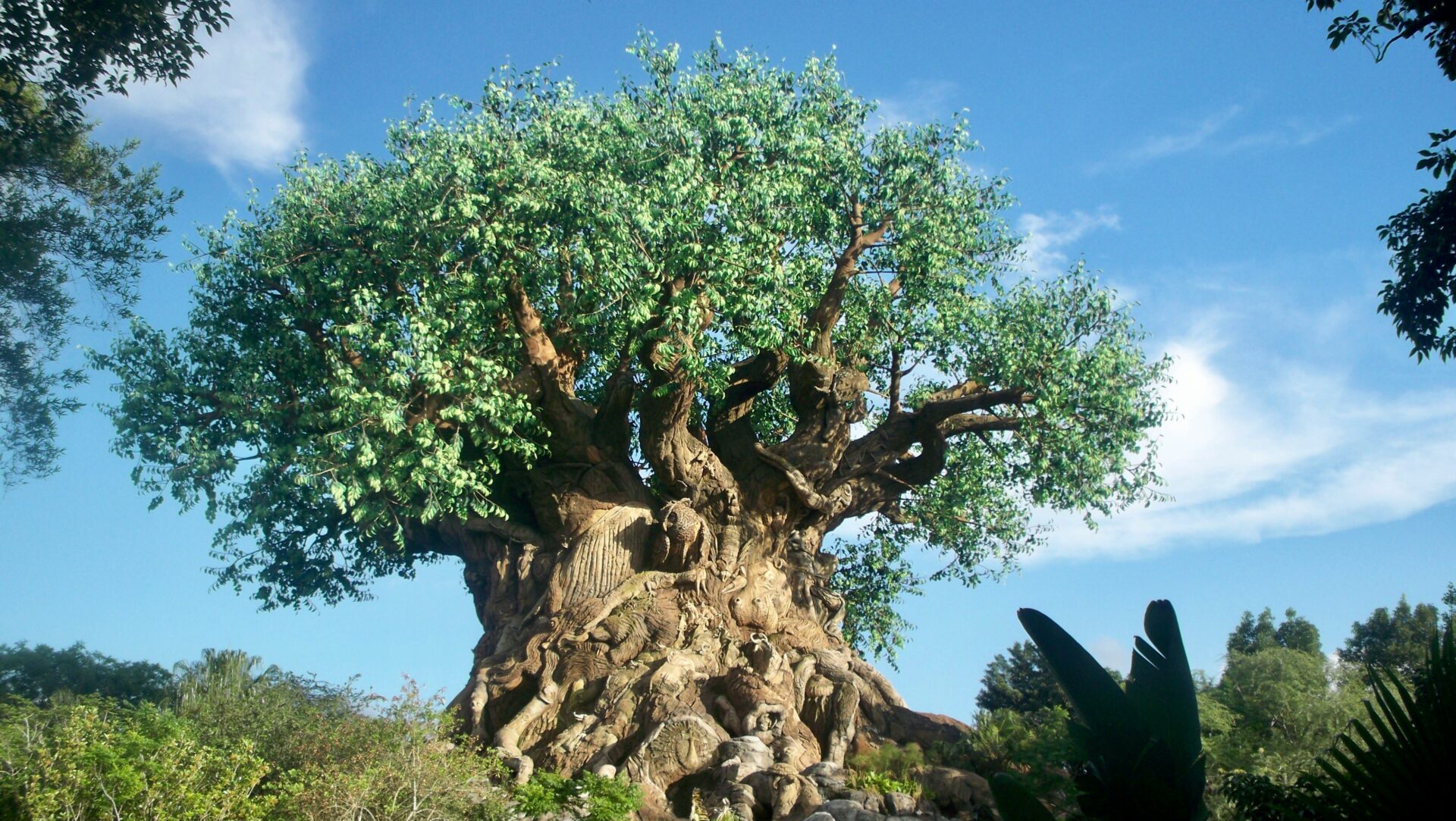 the majestic tree of life at animal kingdom