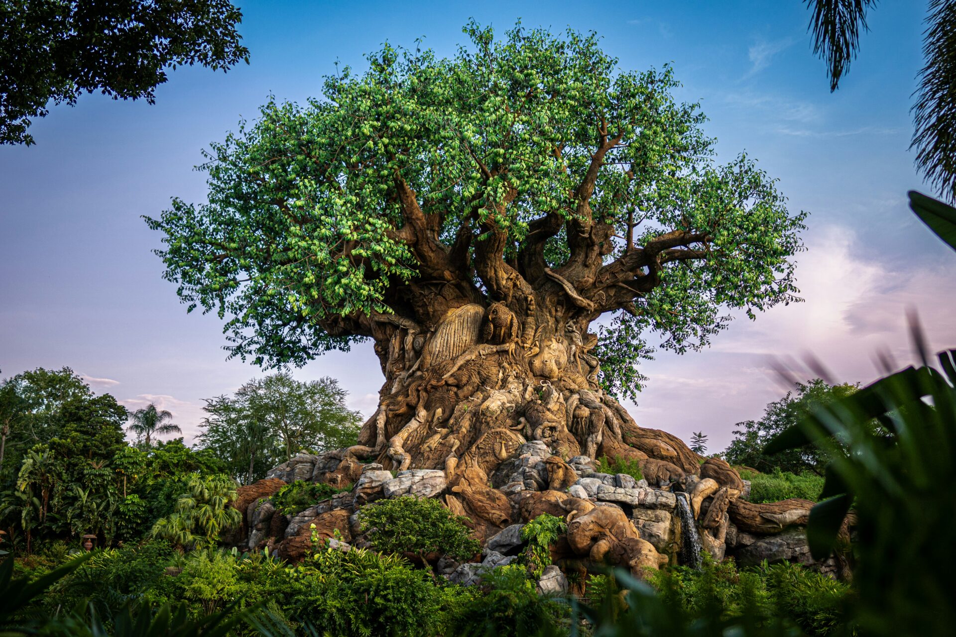 The Tree of Life at Disney’s Animal Kingdom