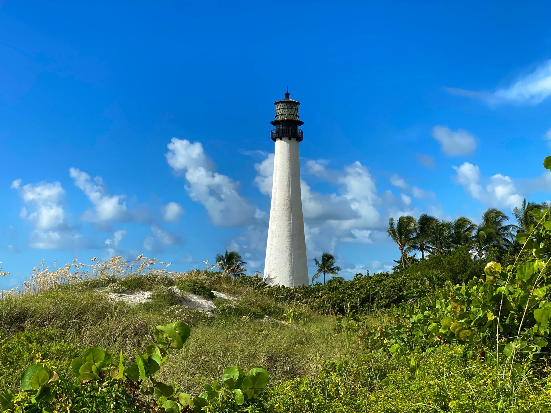 The historic Bill Baggs Cape Florida Lighthouse standing tall against a clear blue sk