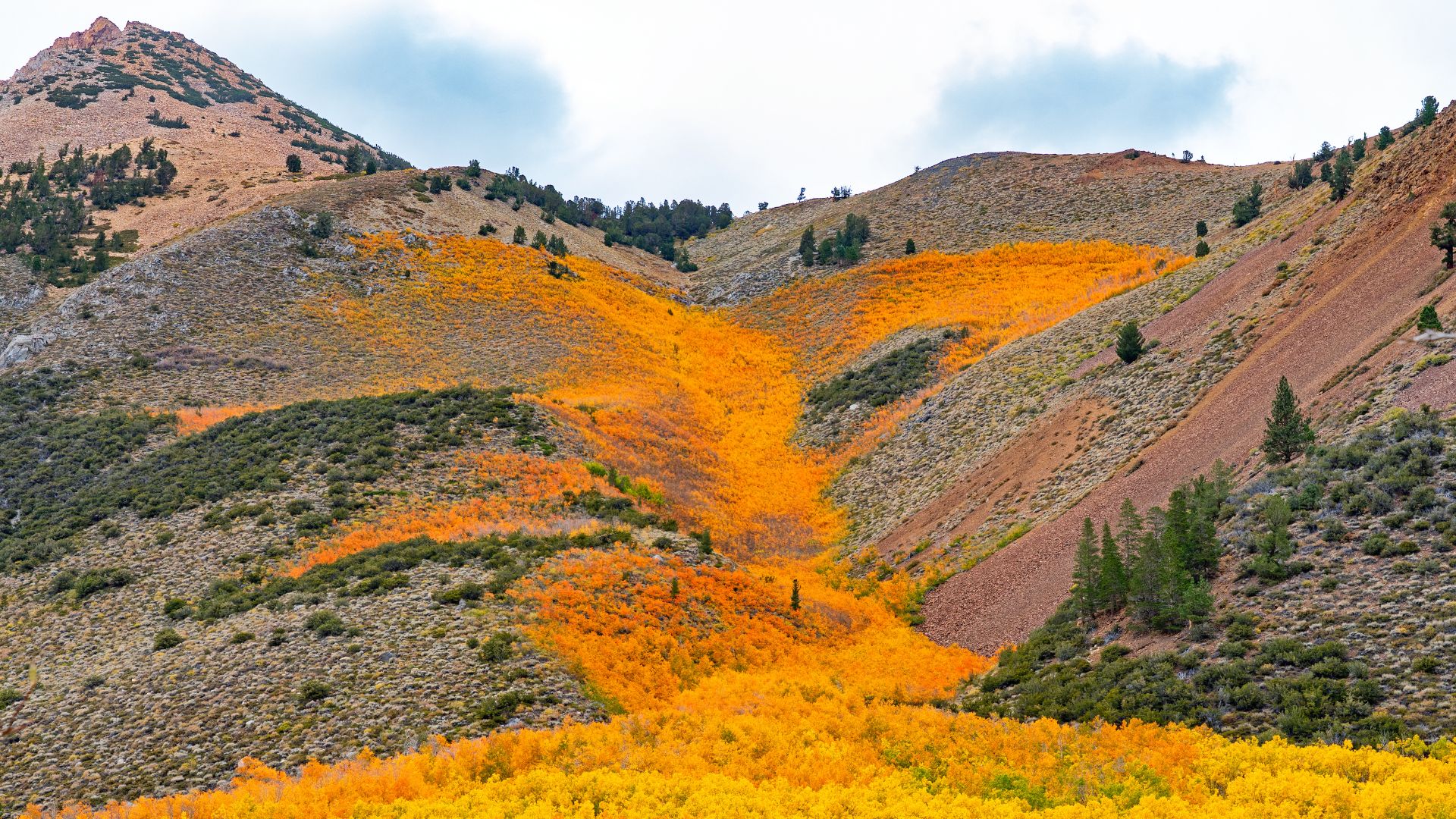 A vibrant autumn landscape featuring mountainsides ablaze with brilliant yellow and orange foliage, likely aspen trees, cascading down a valley towards a body of water or creek, under a partly cloudy sky. The scene is set in a mountainous region, showcasing the dramatic contrast between the colorful trees and the earthy tones of the surrounding terrain.