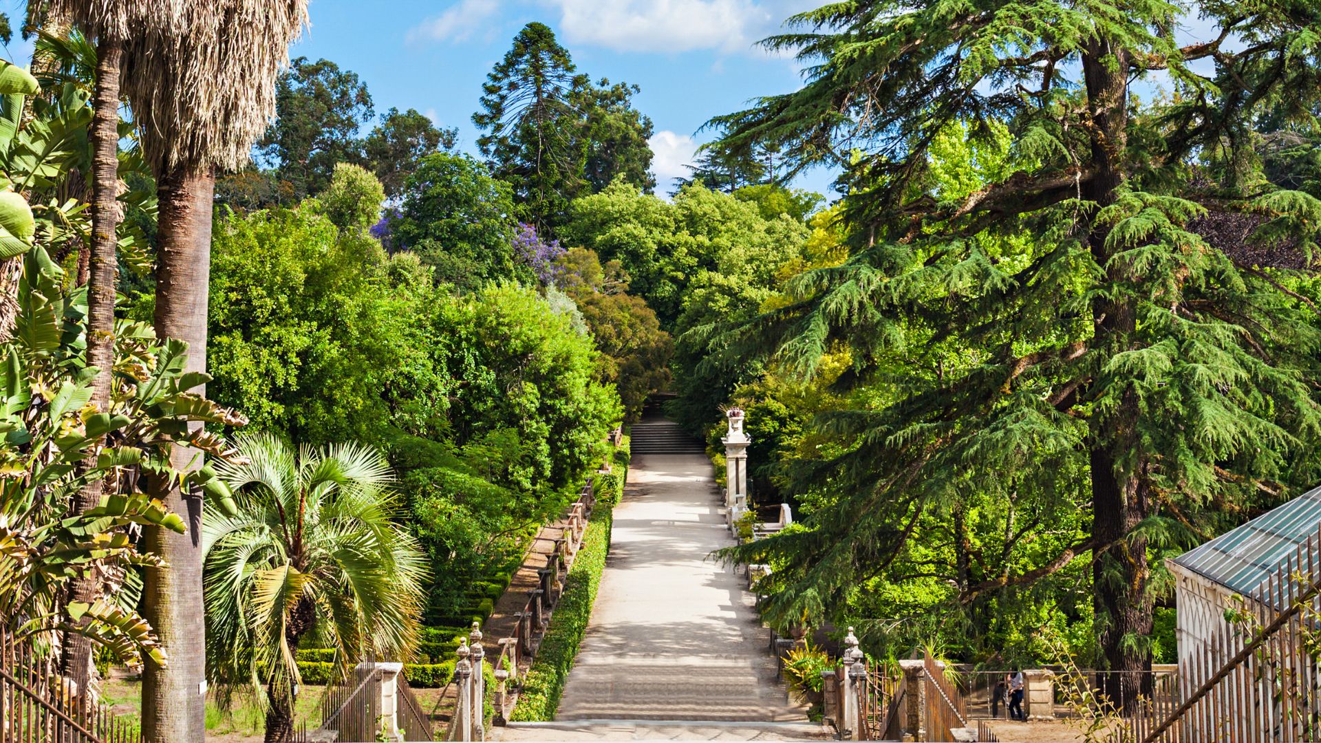 This image showcases a scenic pathway winding through the lush and verdant Botanical Garden of the University of Coimbra, a historic site in Central Portugal. 

